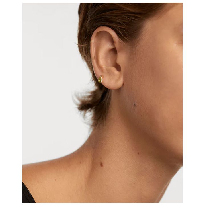 pg-green-lily-single-ear-saqure-photo-3