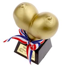 Product image of Kiku მკერდის ფორმის ჯილდო