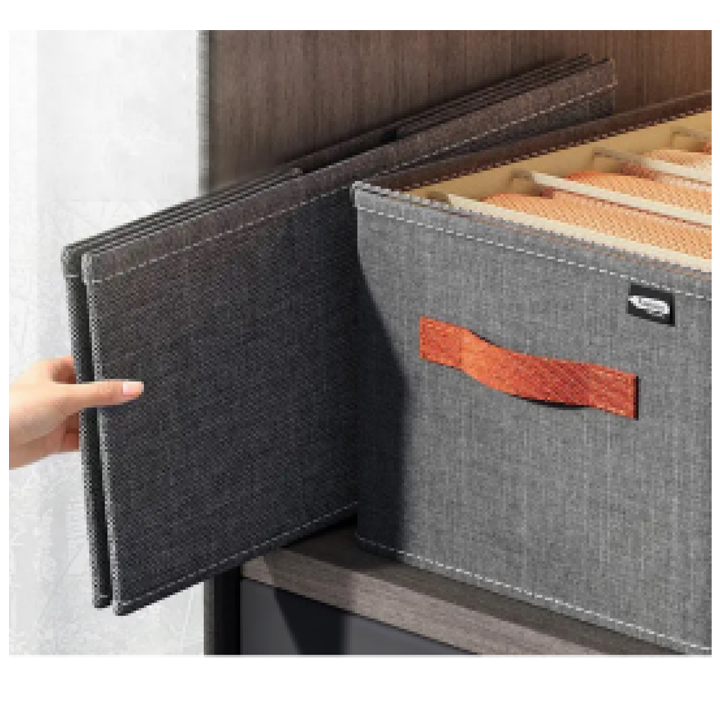 tansatsmlis-organaizeri-photo-3