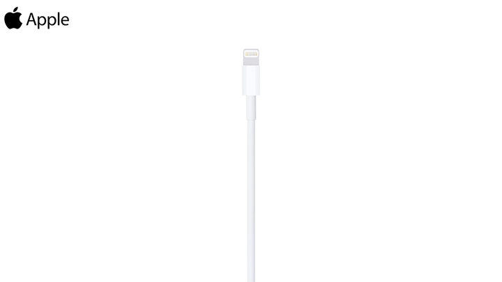 apple-md819-a1510-lightning-to-usb-cable-2m-photo-3