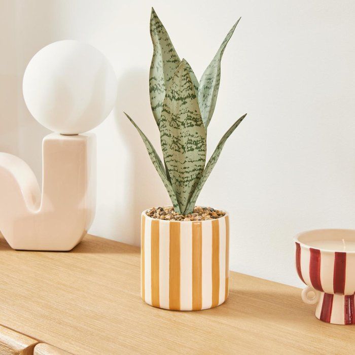 laboratory-my-home-khelovnuri-mtsenare-photo-3