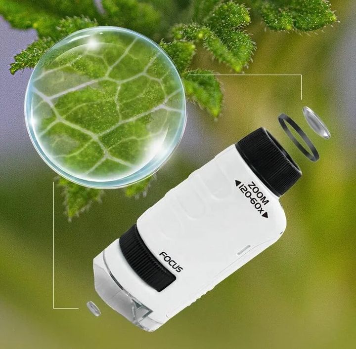 khelis-mikroskopi-photo-3