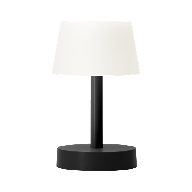 remember-fritz-magidis-sanati-pure