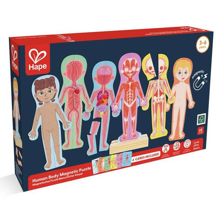 hape-human-body-magnetic-puzzle-fazli