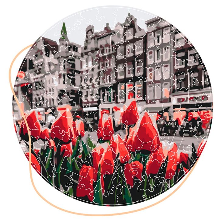 brushme-bp01s-tulips-amsterdam-fazli