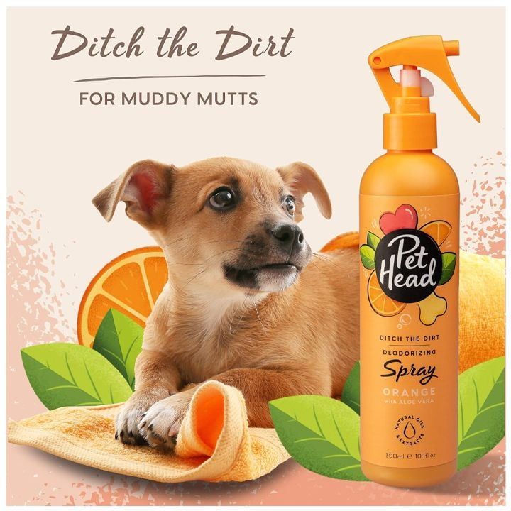 pet-head-ditch-the-dirt-mshrali-shampuni-dzaghlebistvis-photo-2