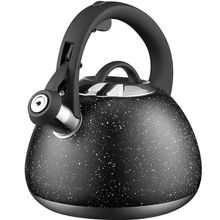 Product image of ჩაიდანი ARDESTO AR1957KS KETTLE GEMINI, 2.5L, STAINLESS STEEL, BLACK