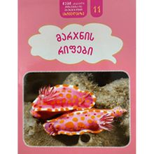 Product image of ა_პასუხები 11ტ მარჯნის რიფები