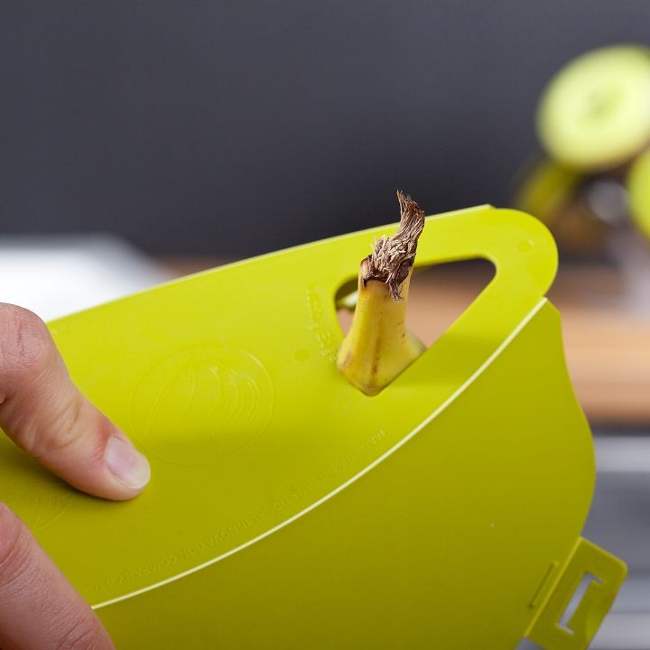 tabla-nova-bananis-konteineri-photo-3