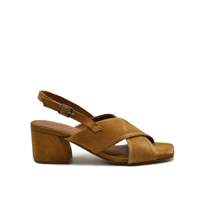 hosis-5372-qusliani-fekhsatsmeli