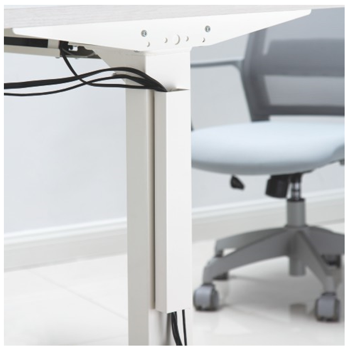 kabelebis-organizatori-photo-2