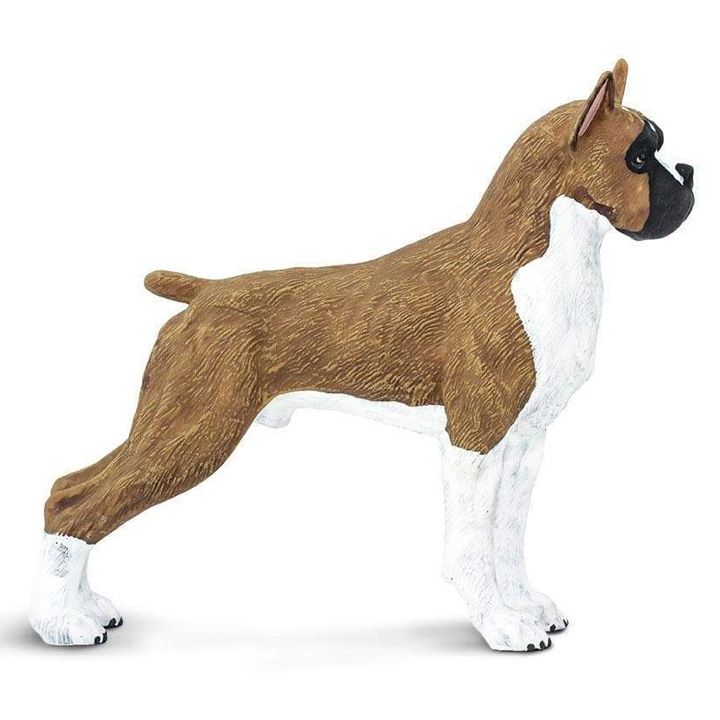 safari-boxer-satamasho-figura-photo-3
