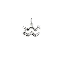 Product image of Differente ზოდიაქოს ჩარმი "Aquarius"- მერწყული