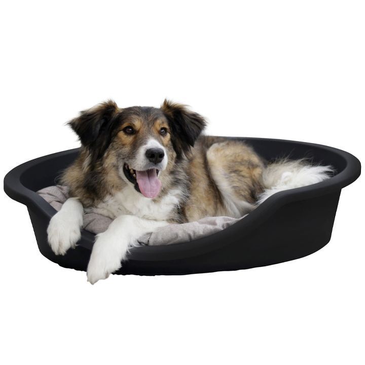 kerbl-dzaghlis-satsoli-photo-2