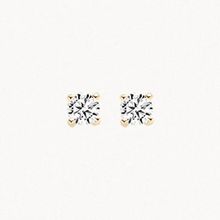 Product image of Blush 7138YZI Blush Oorknoppen საყურე
