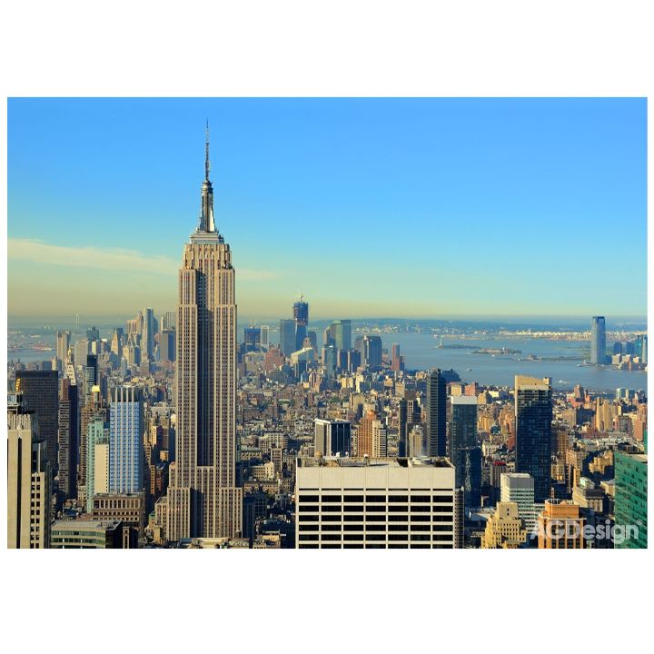 shpaleri-fts-1309-new-york-36x254-m