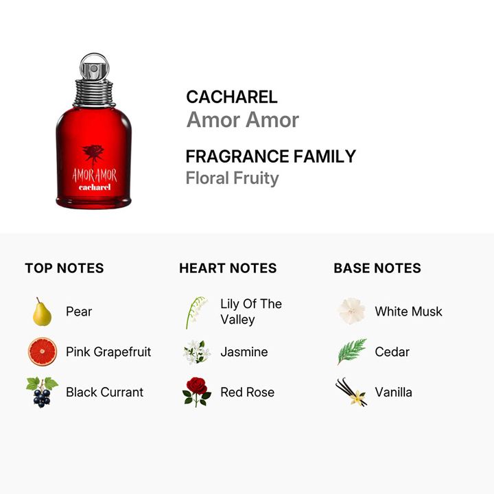 cacharel-amor-amor-edp-qalis-sunamo-5-ml-photo-3