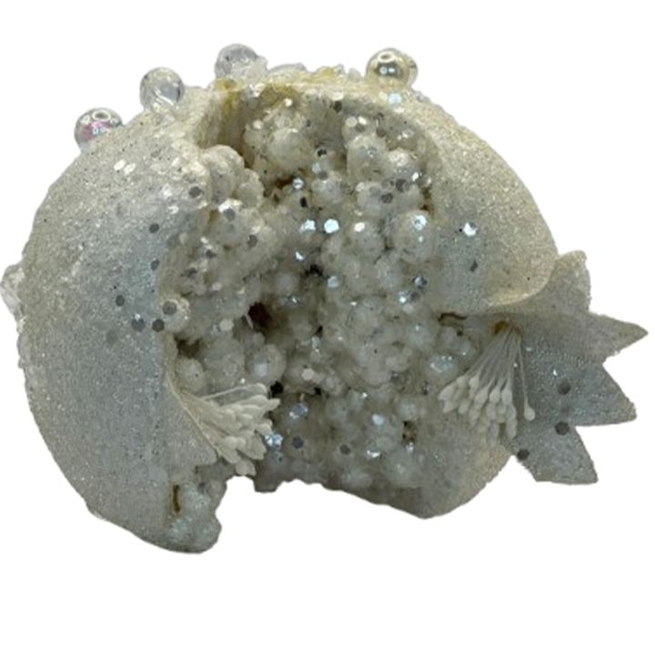 nadzvis-khis-satamasho-brotseuli