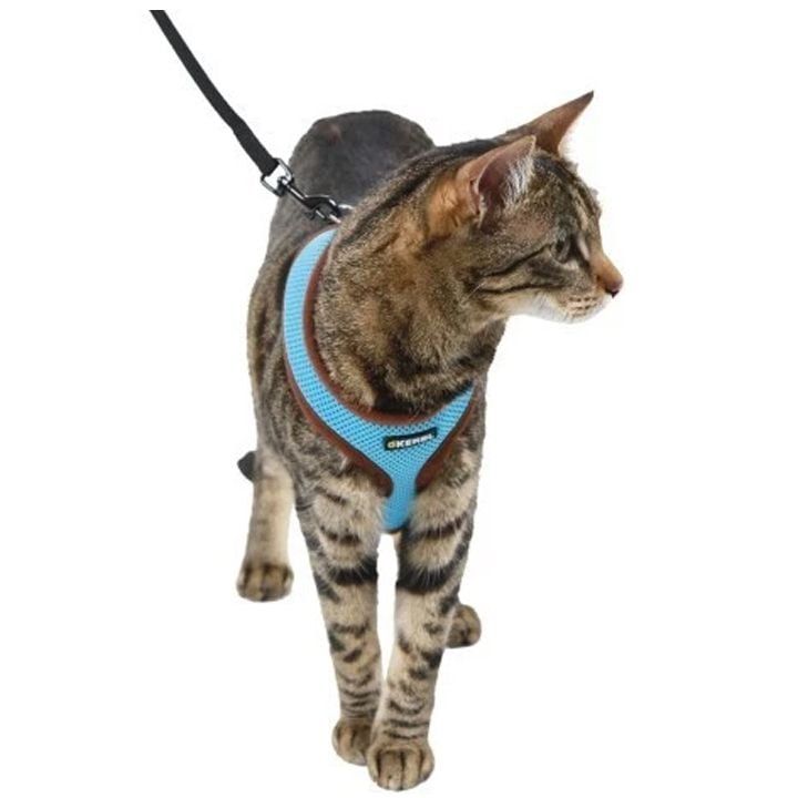 kerbl-katis-saqelo-photo-2