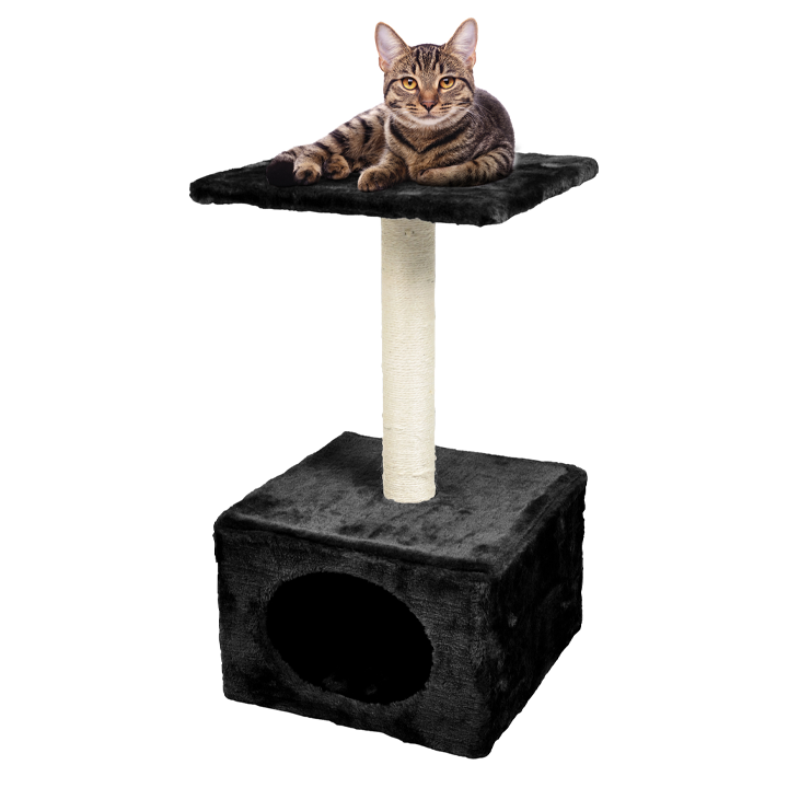 flamingo-katis-safkhachni-photo-2