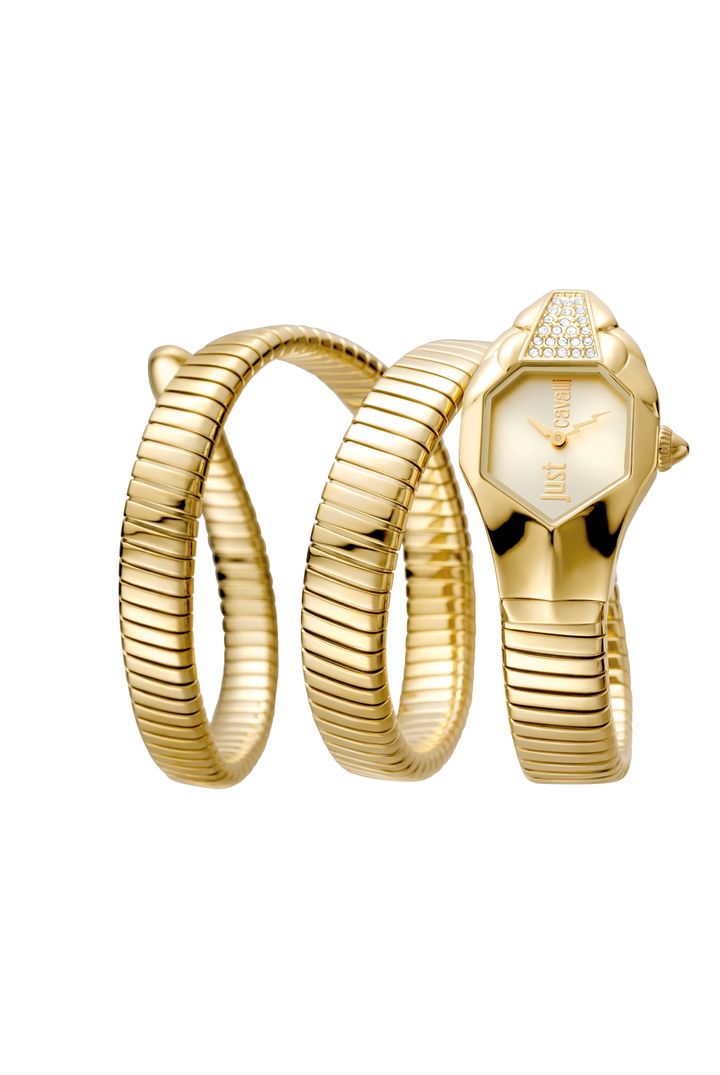 just-cavalli-jc1l022m0025-qalis-saati