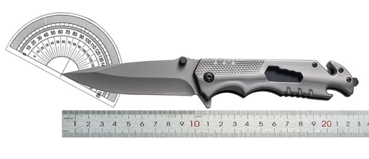 gasashleli-dana-photo-3