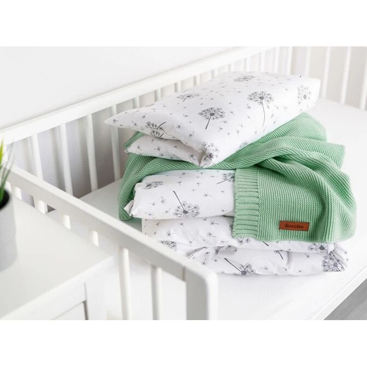 sensillo-sabavshvo-pledi-photo-2