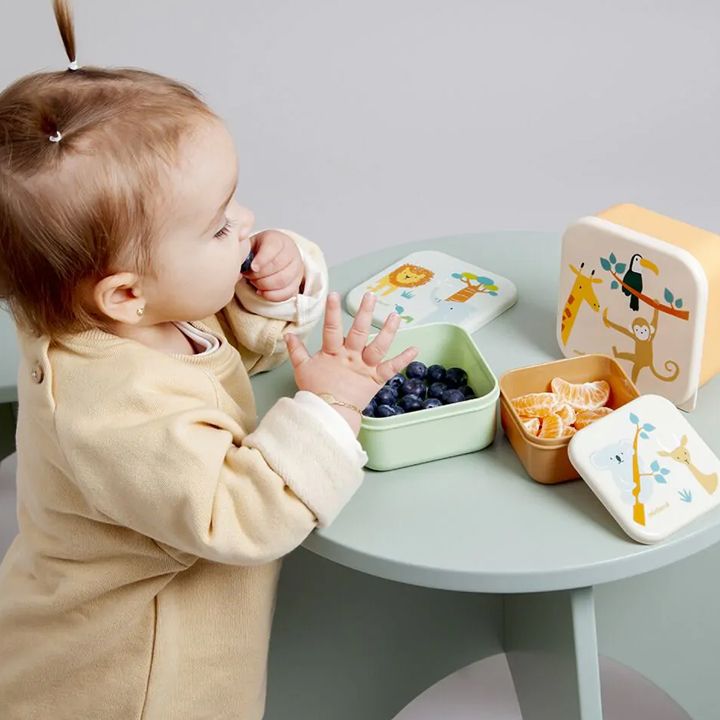 miniland-jungle-lunch-boxes-3ts-lanchboqsi-photo-3