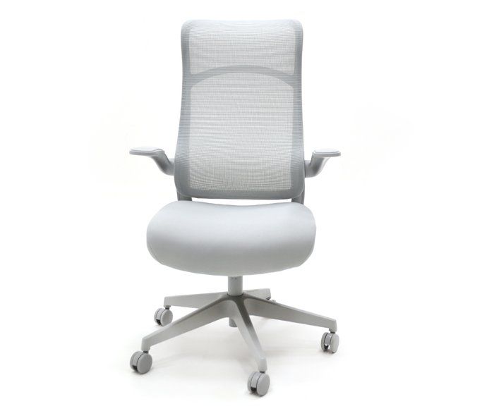 my-office-gorgolachebiani-savardzeli