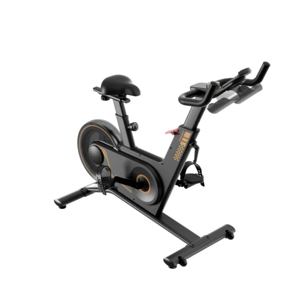 kingsmith-pb08s-bike-black-velotrenazhori-photo-3