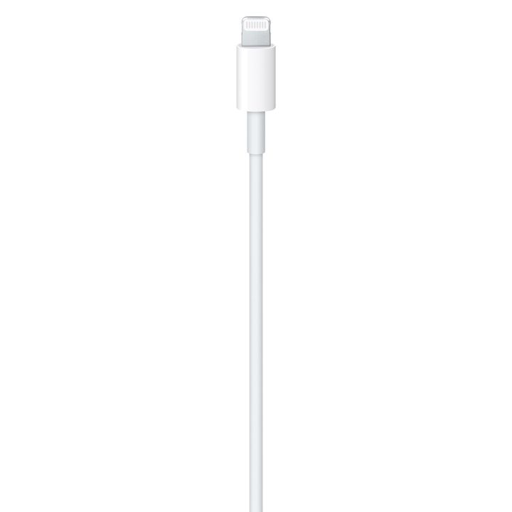 apple-usb-ctolightningadapter-2m-kabeli-photo-2