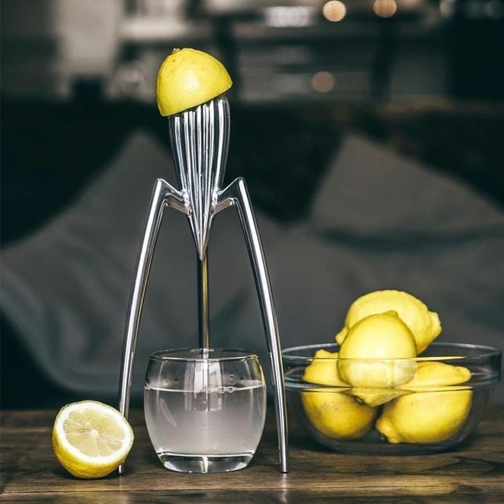 tsitrusis-satsuri-oktopusi-octopus