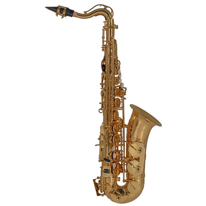 roy-benson-as-201-lacquered-saqsafoni-bavshvebistvis