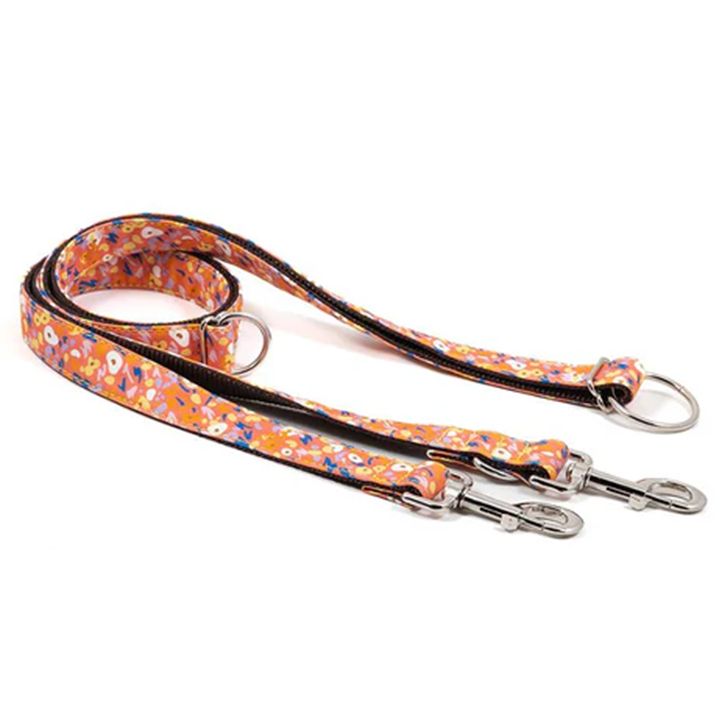 brott-dzaghlis-sabeli