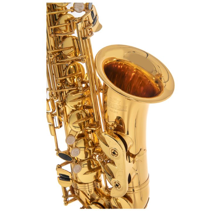 roy-benson-as-201-lacquered-saqsafoni-bavshvebistvis-photo-3
