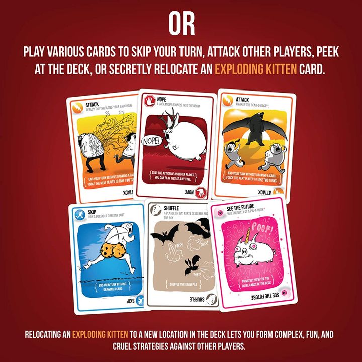samagido-tamashi-exploding-kittens-photo-4