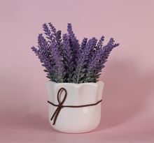 Product image of ლავანდის ყვავილი