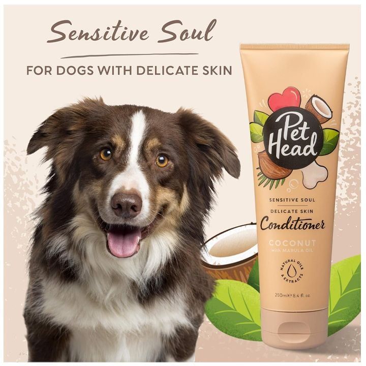 pet-head-sensitive-soul-konditsioneri-dzaghlebistvis-photo-3