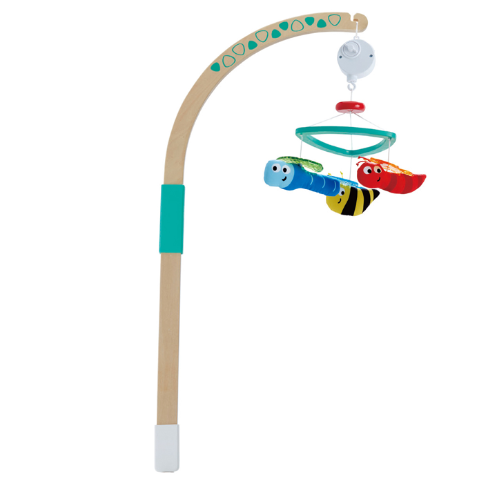 hape-satsolze-dasamagrebeli-khis-satamasho