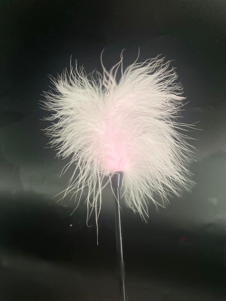 fancy-tickler-photo-4