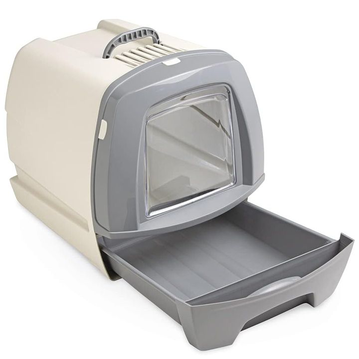 nobby-katis-dakhuruli-tualeti-photo-2