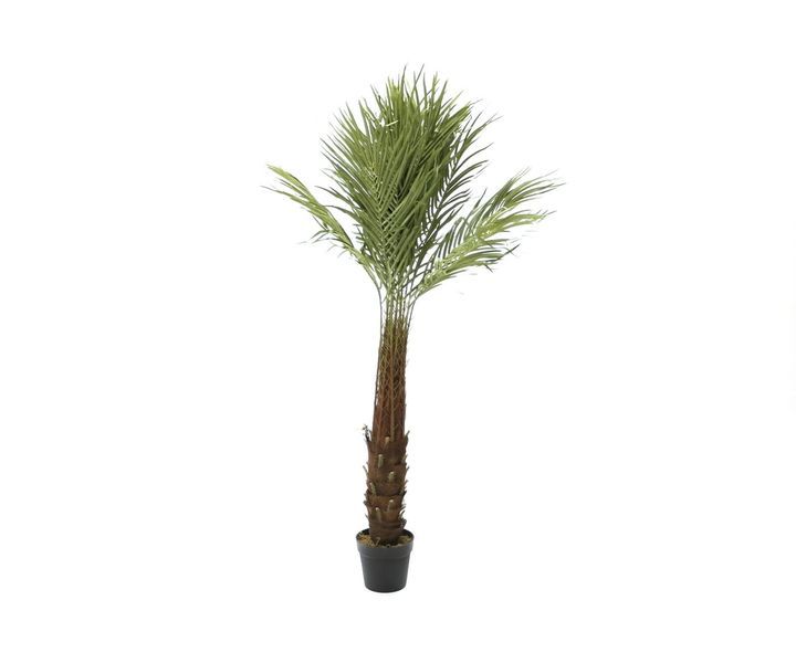 laboratory-my-home-khelovnuri-mtsenare