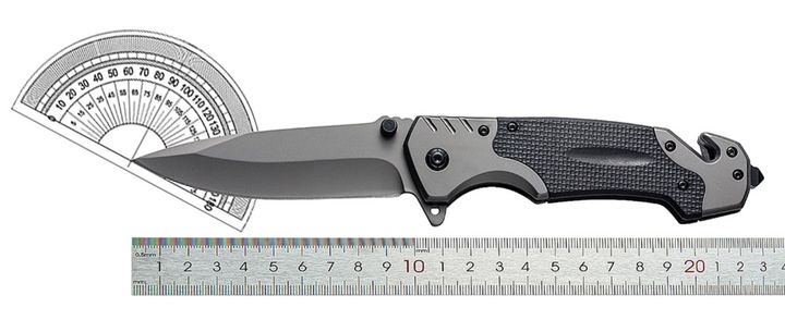 gasashleli-dana-photo-3