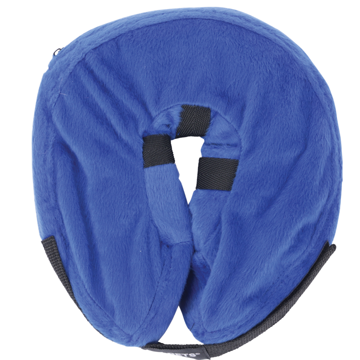 m-pets-air-hug-gasaberi-saqelo-s-photo-3