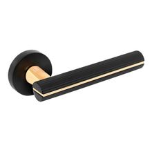 Product image of FANTOM "Grace" FM 116-30 MB/22Gold matt black/polished gold კარის სახელური