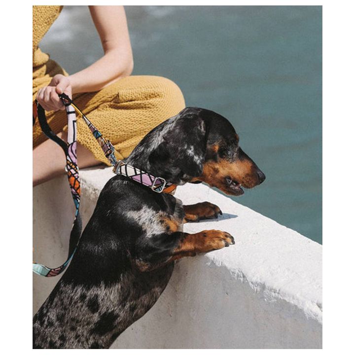 brott-dzaghlis-sabeli-photo-2