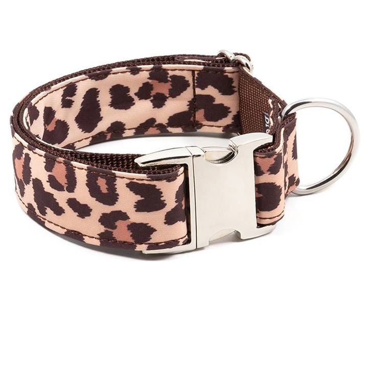 brott-dzaghlis-saqelo