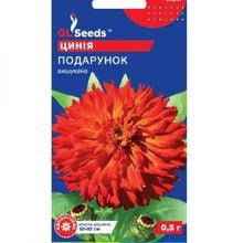 Product image of ცინიას თესლი Elitsort Seeds 0,5 გრ