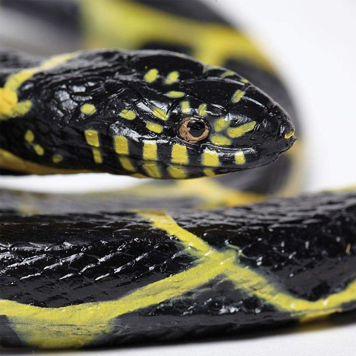 safari-chain-kingsnake-satamasho-figura-photo-3