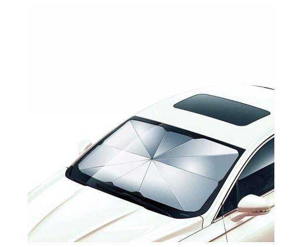 bottari-manqanis-shushis-mzis-damtsavi-qolga-photo-2